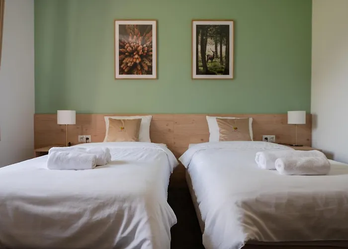 Θέρετρο Szumi Events &