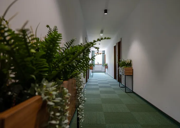 Szumi Events & Θέρετρο Regimin